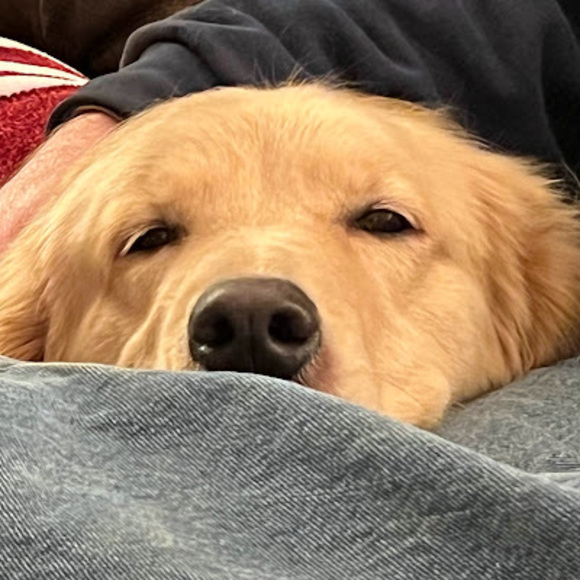 Meet your Posher, Sara - Picture 1 of 1